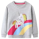 FILOWA Sudadera Niñas sin Capucha Caballo Unicornio Arcoíris Dibujos Camiseta Barata Manga Larga Algodon Cuello Redondo Casual Top Jersey para Infantil Niña 4-5 años,Gris