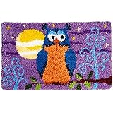 DACUN Kit de Bordado de Bordado de Bordado de Owl Bricolaje Kits de Hilo de croch de alfombras Kits de fabricación de alfombras for Adultos niños for Principiantes creativos artesanales hech