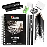 Kit Dibujo Completo - Principiante/Profesional - 19 accesorios: 8 Lapices de Dibujo, 3 lapiz carboncillo, 1 Grafito, 2 Barra Carboncillo, Cuaderno dibujo 100 págs - Regalo ideal para artistas